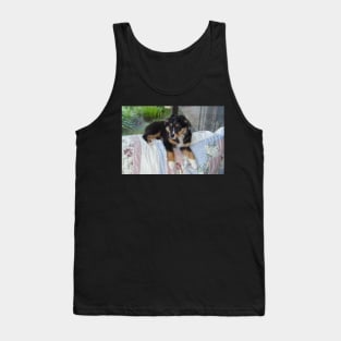 australian shepherd black tri puppy Tank Top